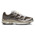 Salomon Men's XT-6 Earth Brown/Walnut